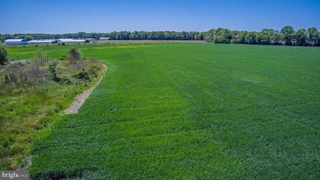 Lot#10 Tower Road, Camden Wyoming, DE 19934