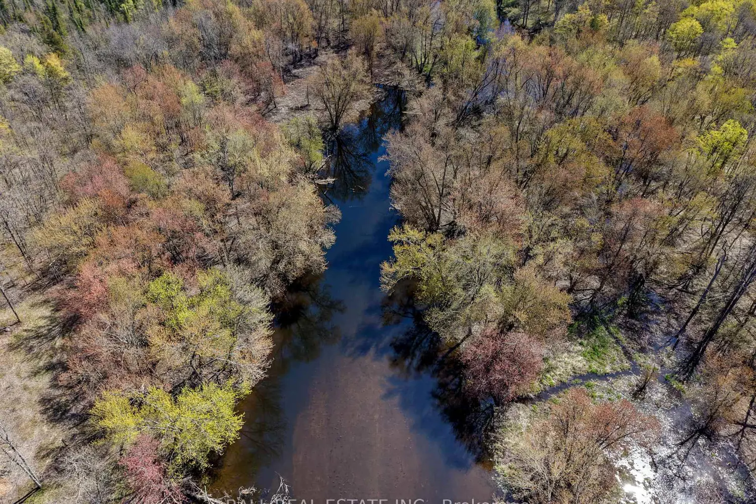 Additional image 6 of 1801 Old Marmora Road