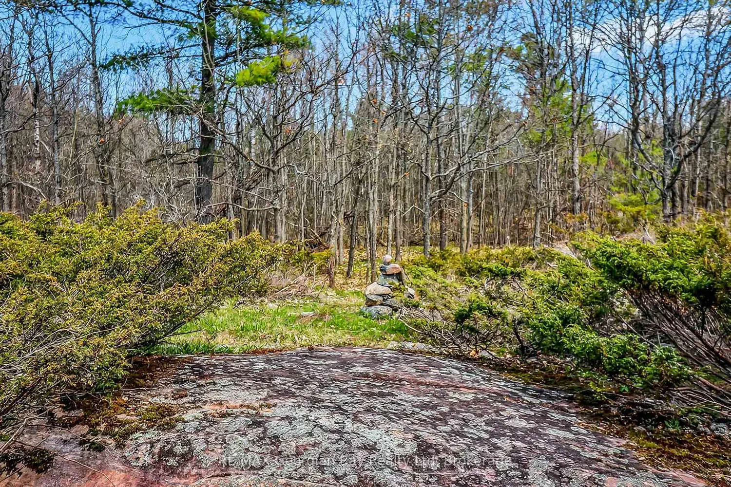 Additional image 9 of 1432 Honey Harbour Road