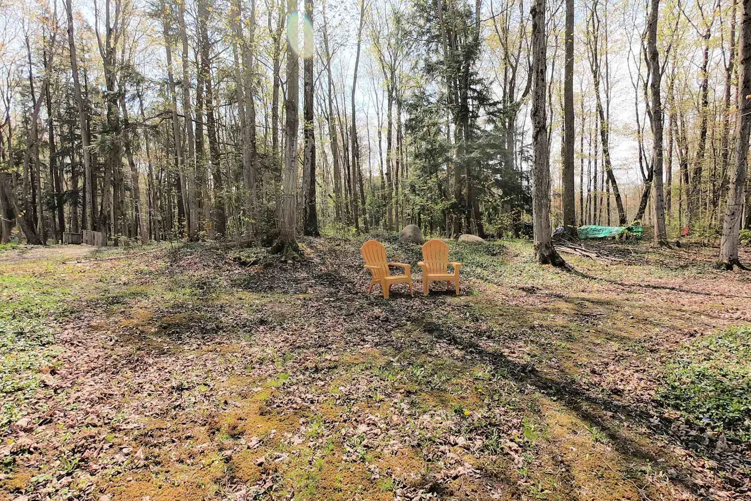 Additional image 13 of 210 Thompson Avenue