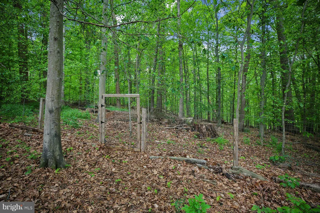 Additional image 84 of 13714 Drake Drive, Rockville, MD 20853
