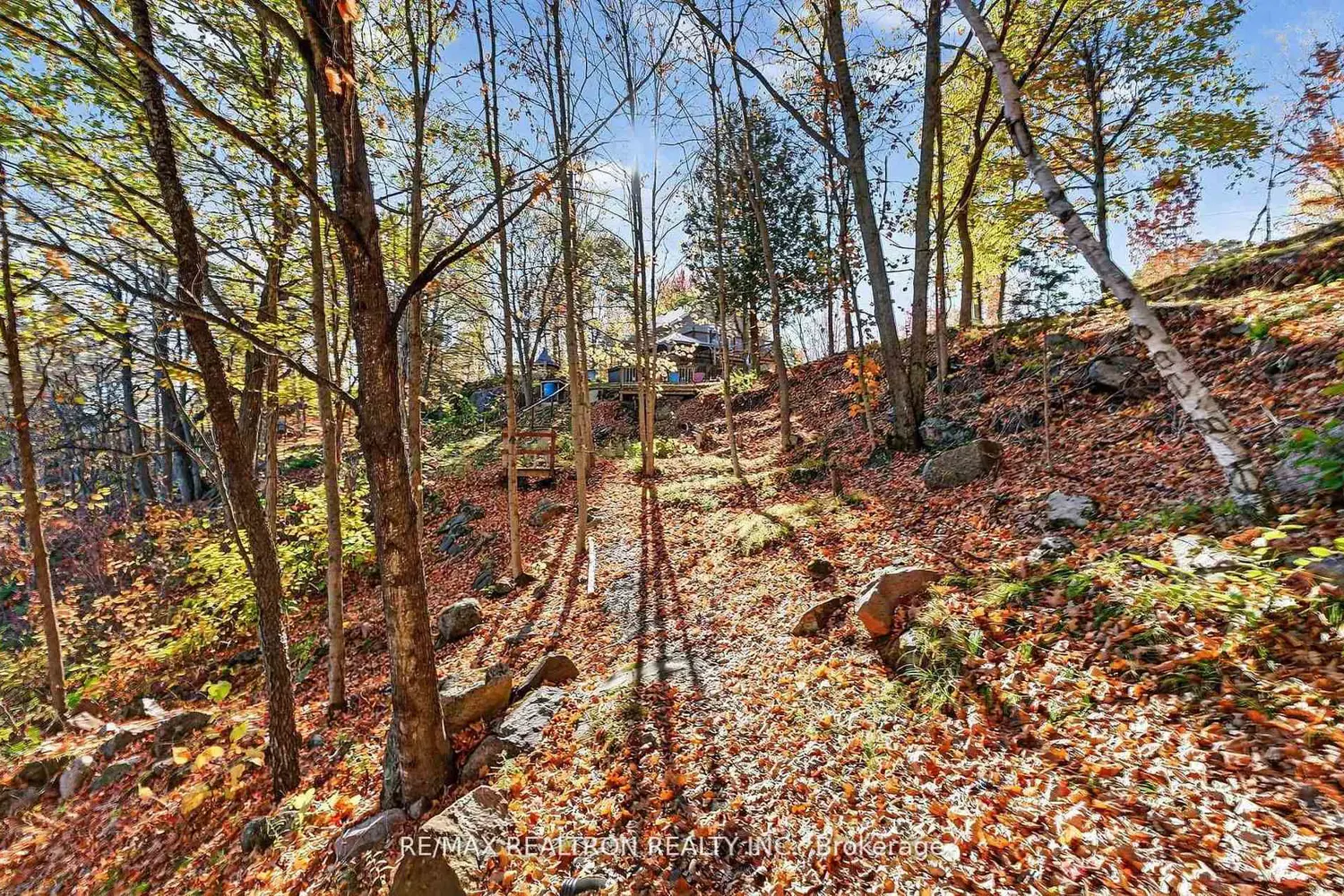 Additional image 17 of 1073 Freeman Lane