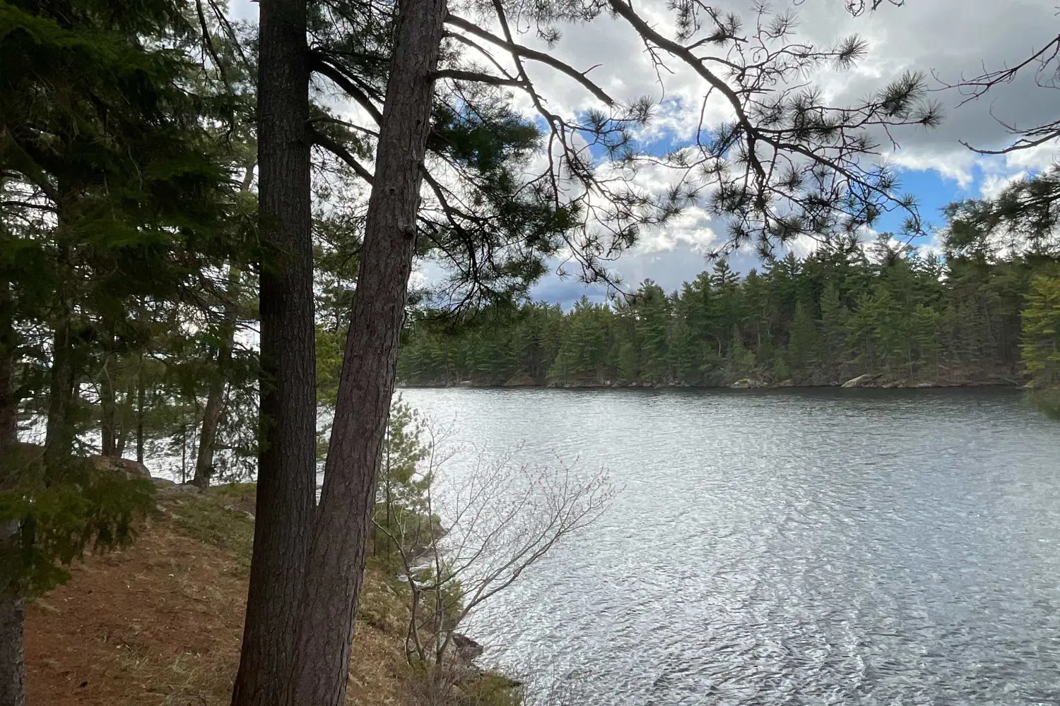 Additional image 9 of 104 Kawigamog Lake