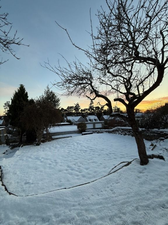 Additional image 19 of 4 bed detached house to rentNorth Deeside Road, Bieldside, Aberdeen AB15