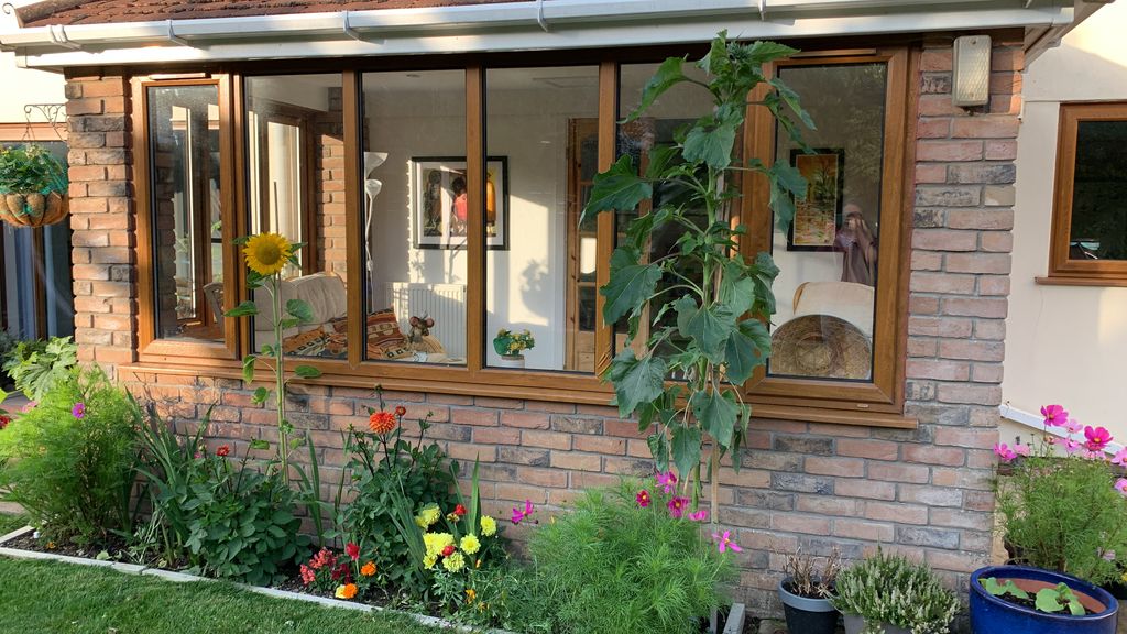 Additional image 15 of 4 bed detached house to rentAdrian Close, Porthcawl CF36