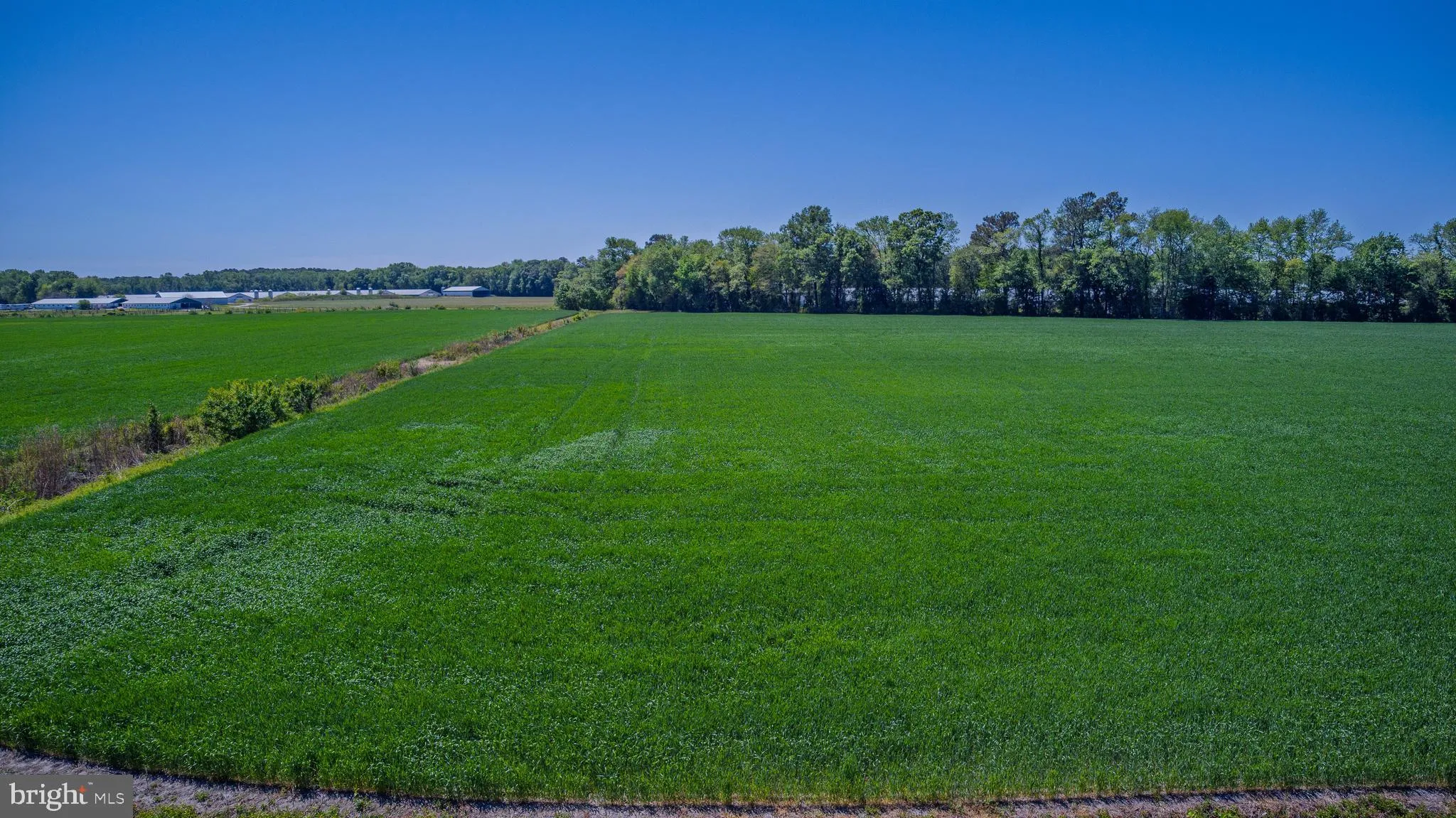 Additional image 8 of Lot 13 Tower Road, Camden Wyoming, DE 19934