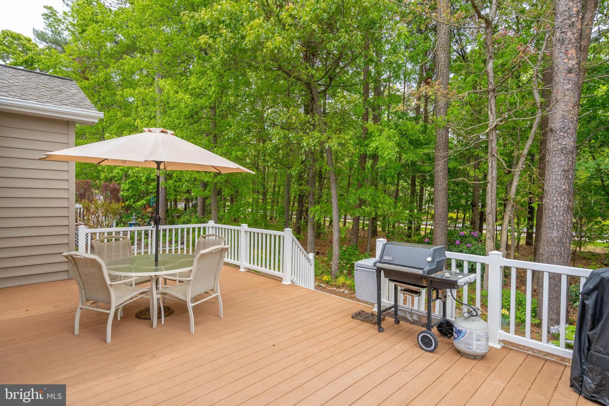 Additional image 43 of 32668 Seaview Loop, Millsboro, DE 19966