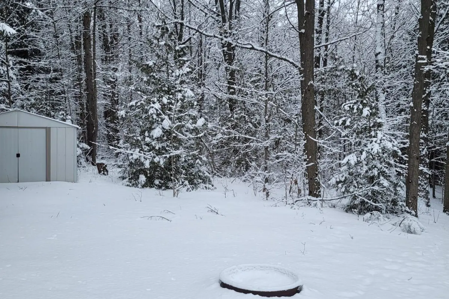 Additional image 19 of 149 Whites Road