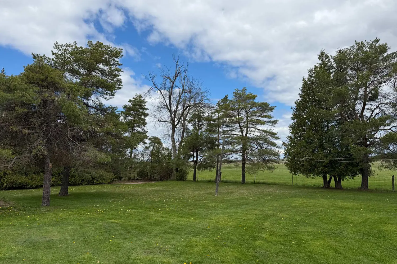 Additional image 7 of 1320 Heights Road