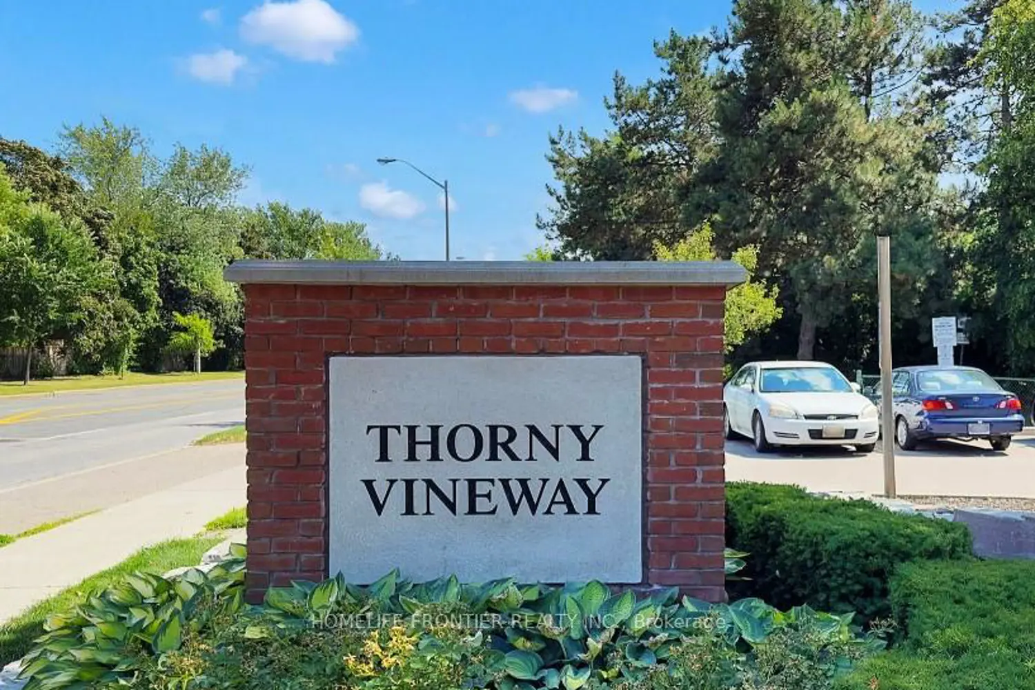 133 Thorny Vine Way