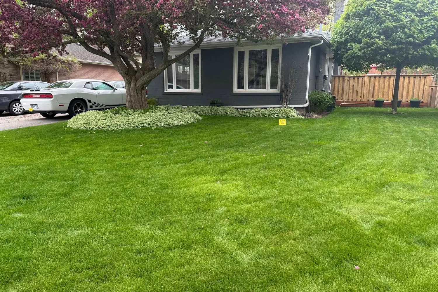Additional image 13 of 128 Cherrywood Drive