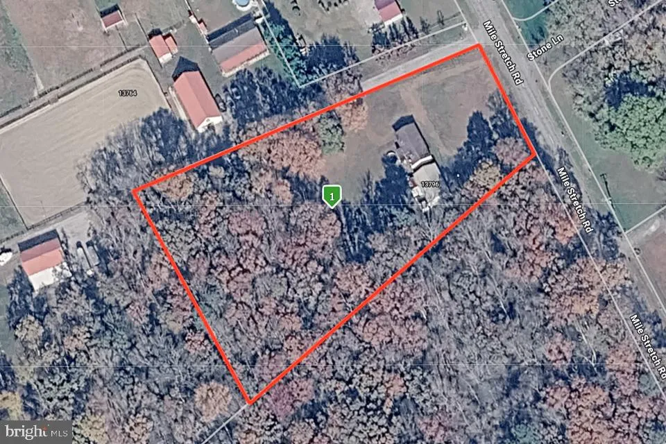 Additional image 38 of 13796 Mile Stretch Road, Greenwood, DE 19950