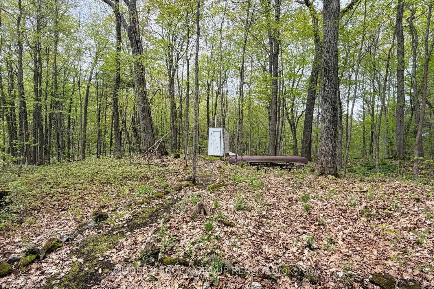 Additional image 11 of 7026 Black Jack Island