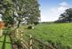 Additional image 12 of Hollins Hall, Killinghall, Harrogate, HG3 2GL