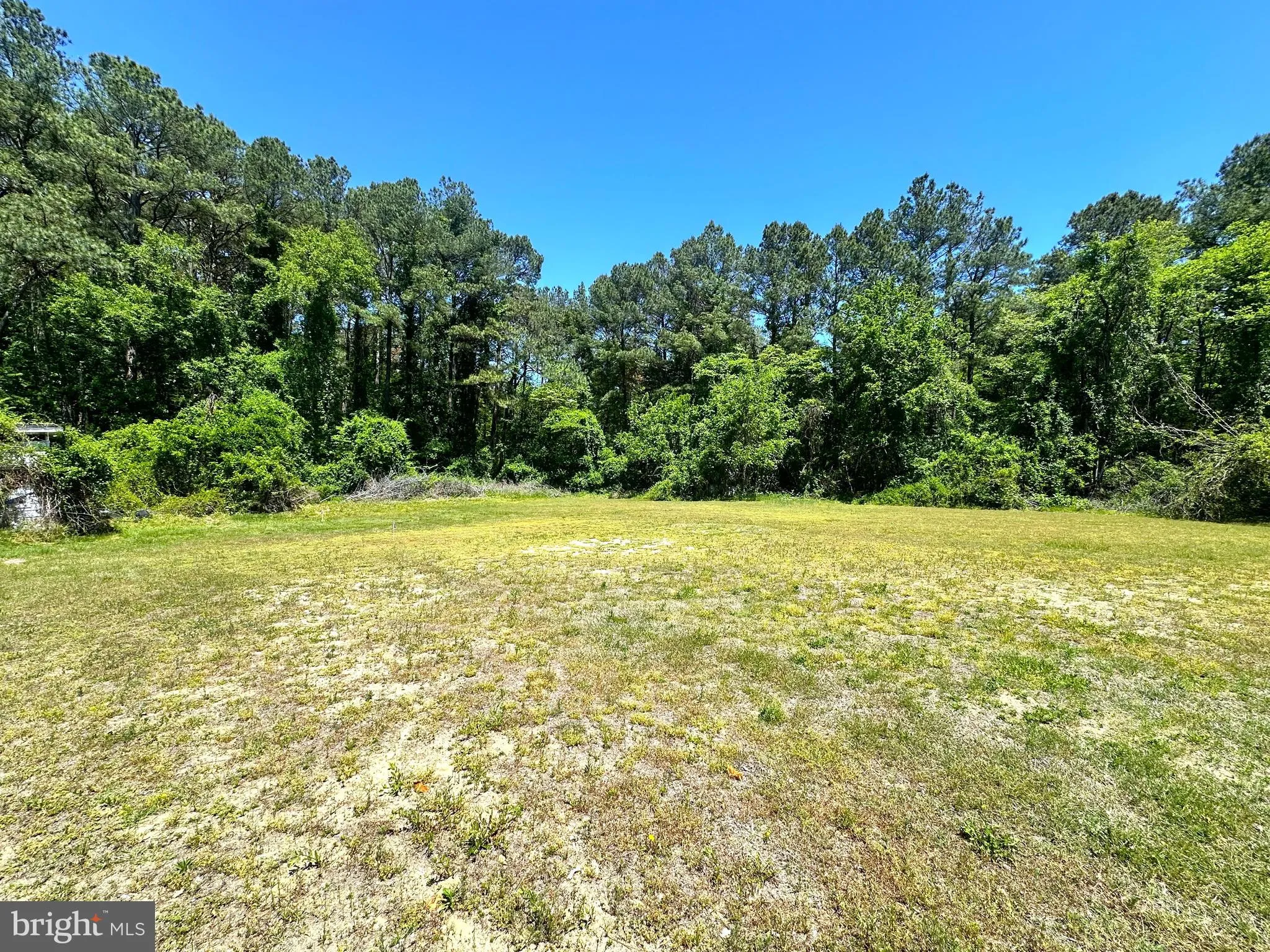 Additional image 54 of 14236 Drapers Mill Road, Greensboro, MD 21639