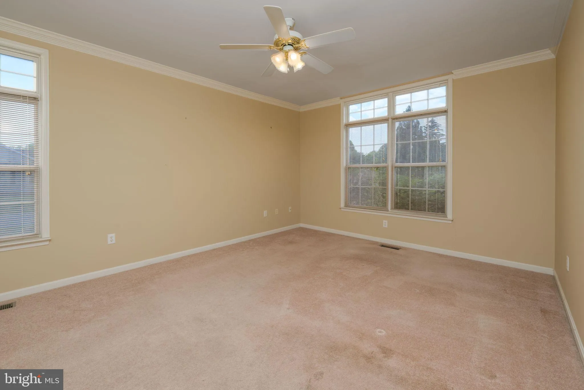 Additional image 53 of 16841 Devon Road, Lewes, DE 19958