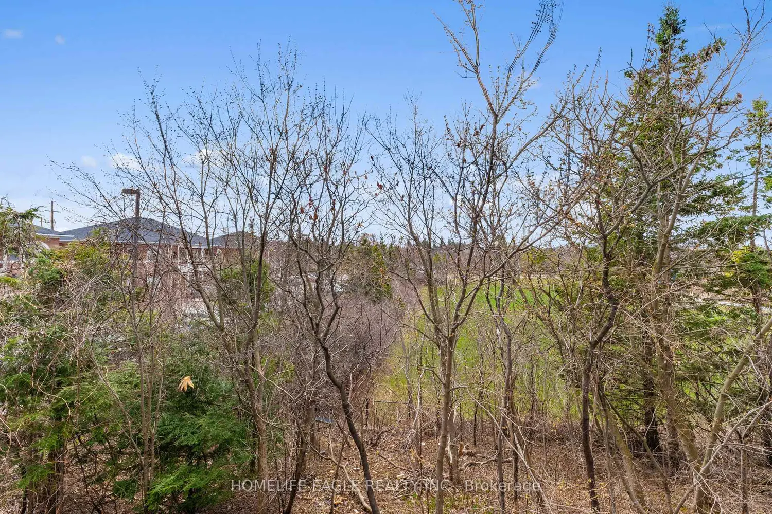 Additional image 7 of 7 Phelps Lane 16