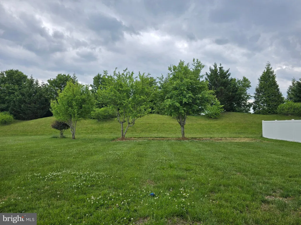 Additional image 80 of 173 Heartleaf Lane, Magnolia, DE 19962