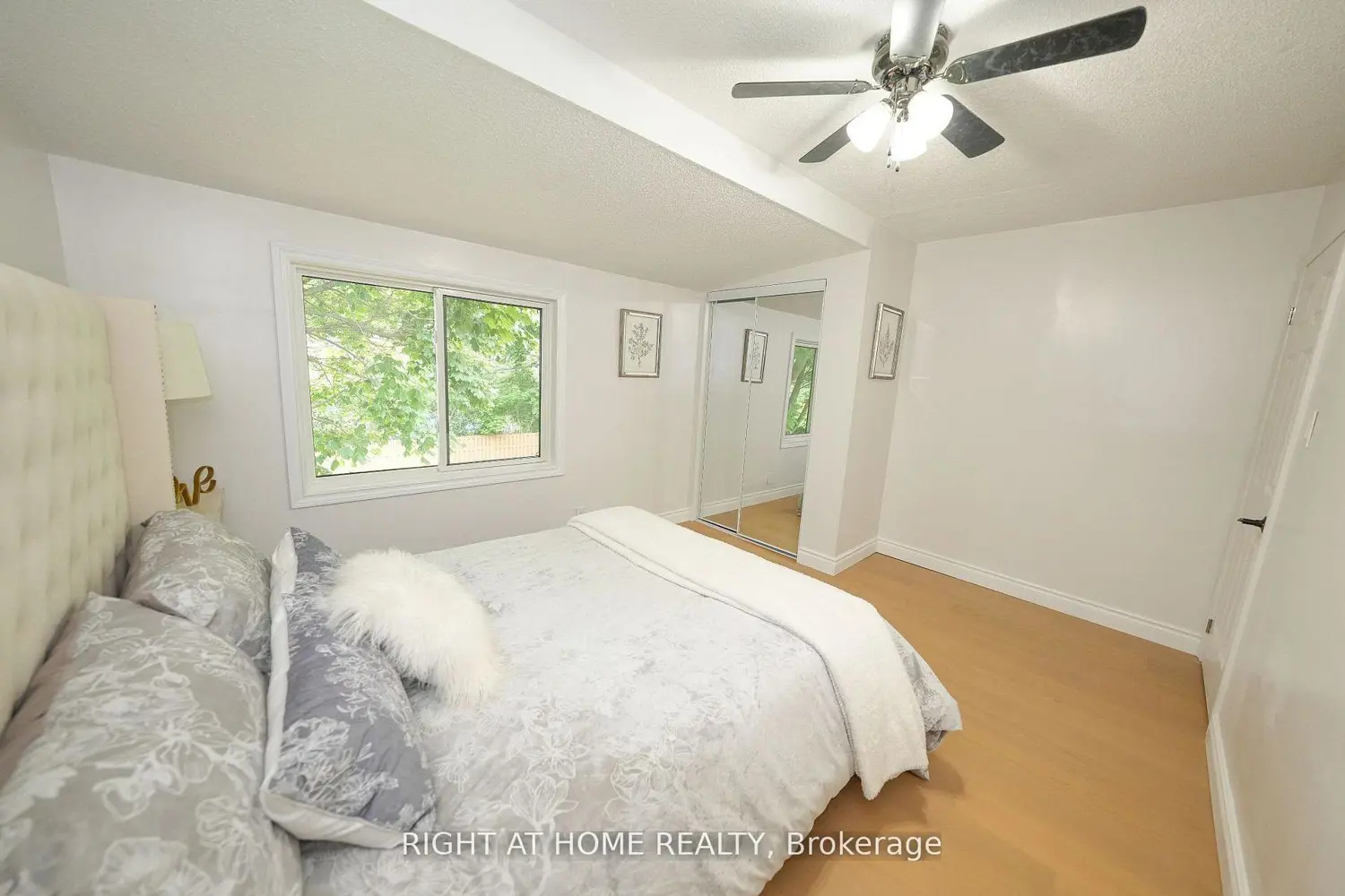 149 Dorset Road photo 5