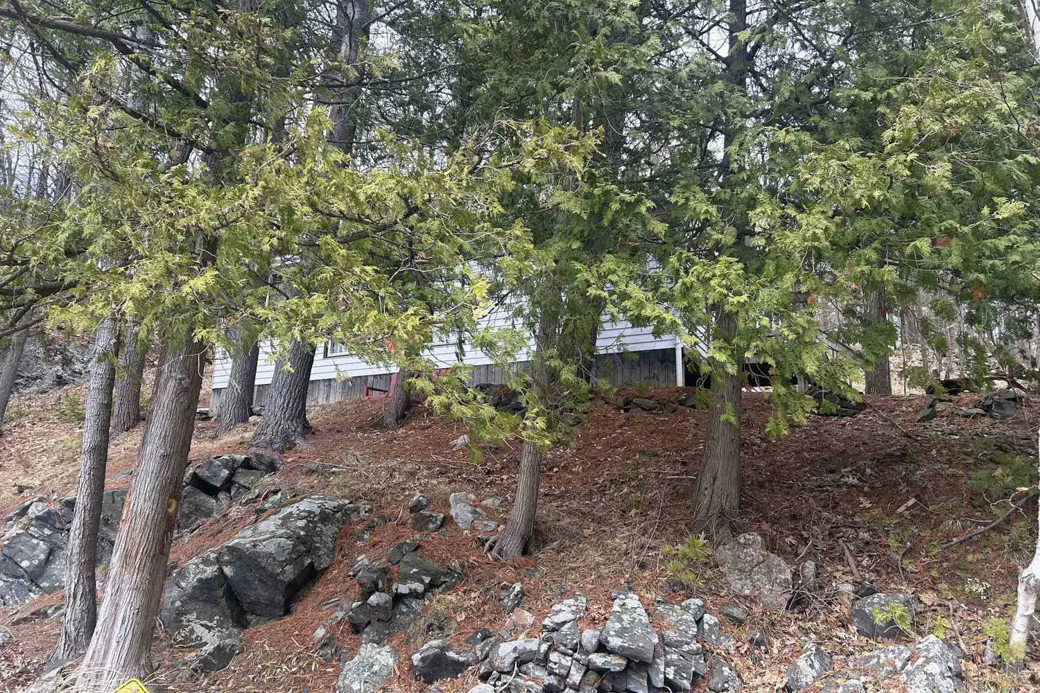 Additional image 3 of 1134 Nelson Road