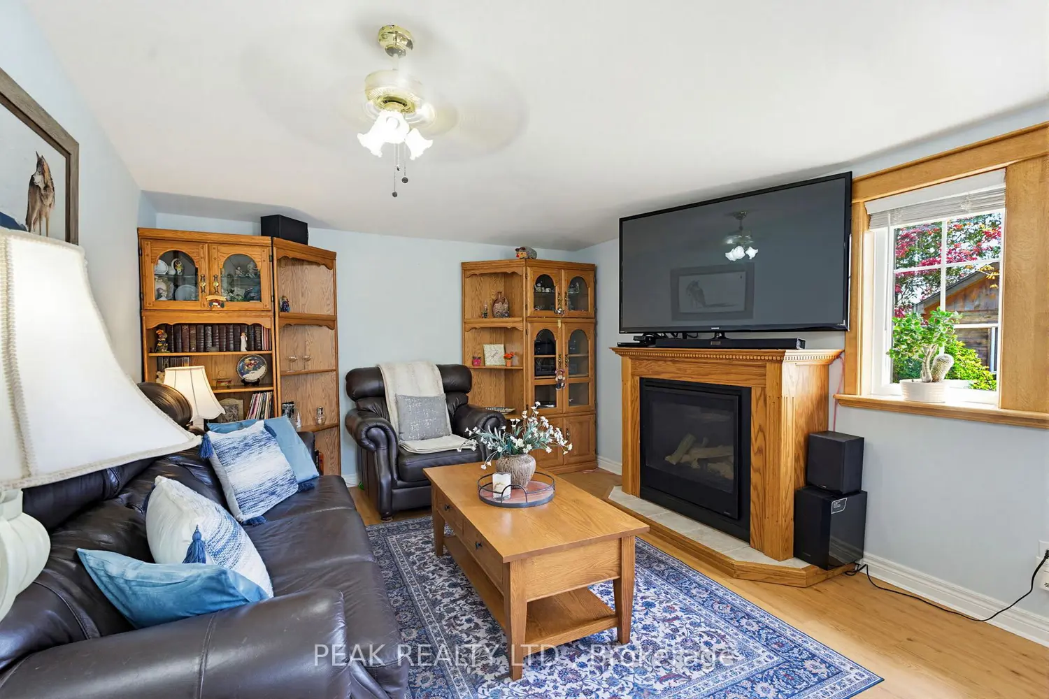 12 Mccammon Street photo 5
