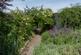 Additional image 16 of Whaddon Lane, Hilperton