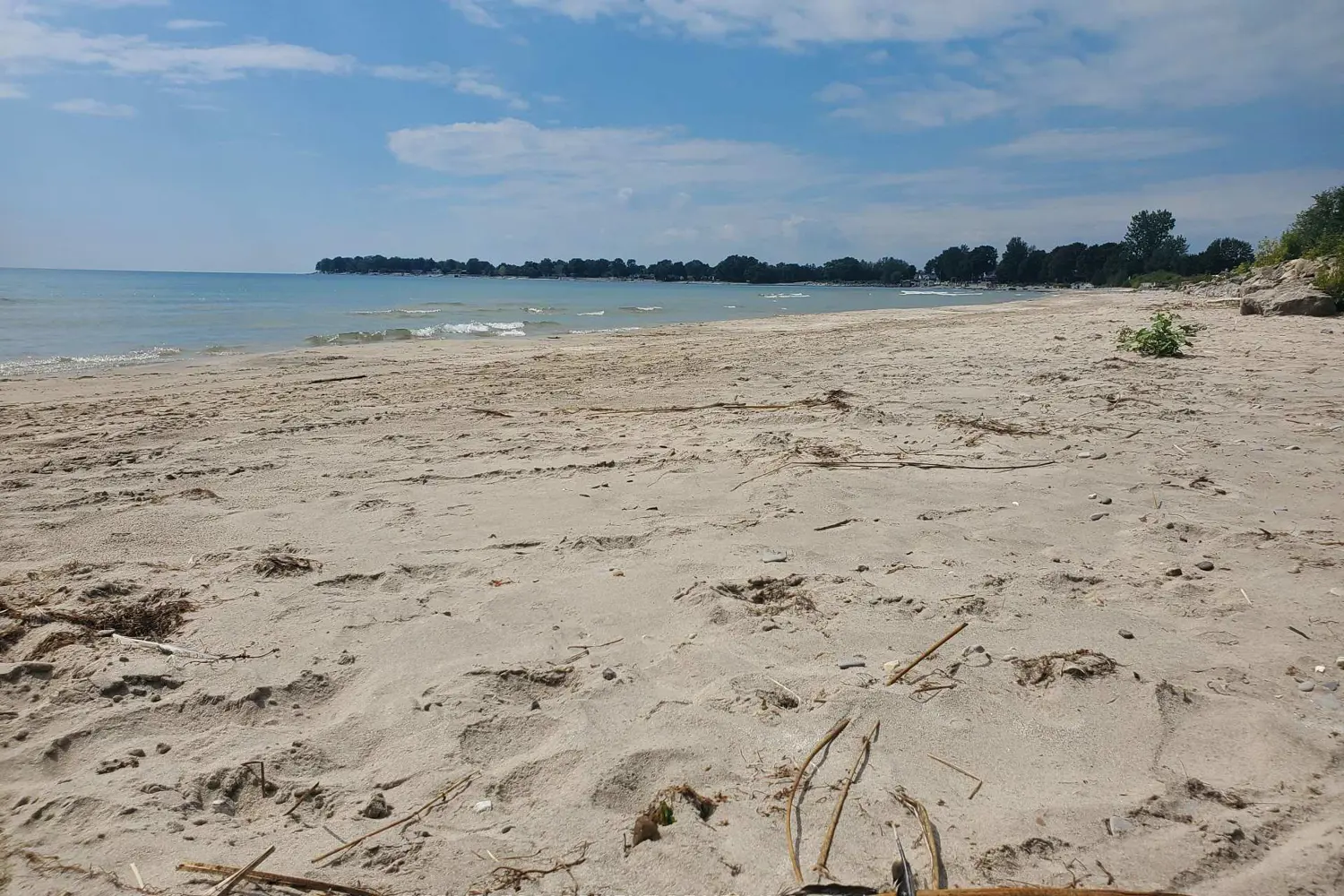 Additional image 6 of 11705 Lakeshore Road 26