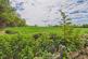 Additional image 12 of Queens Close, Harston