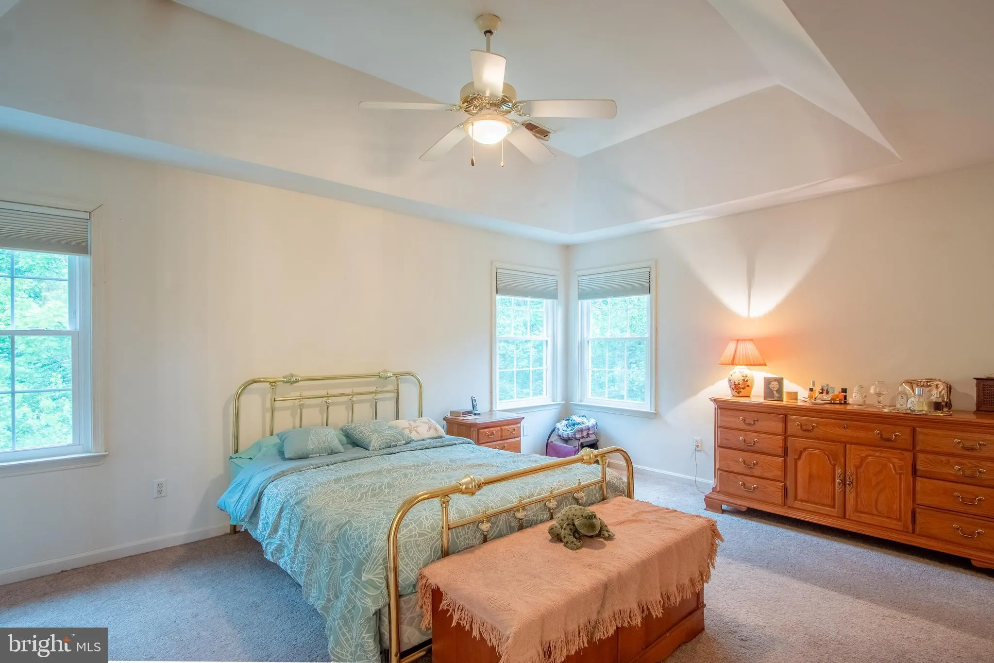 Additional image 51 of 7 Lesh Court, Middletown, DE 19709