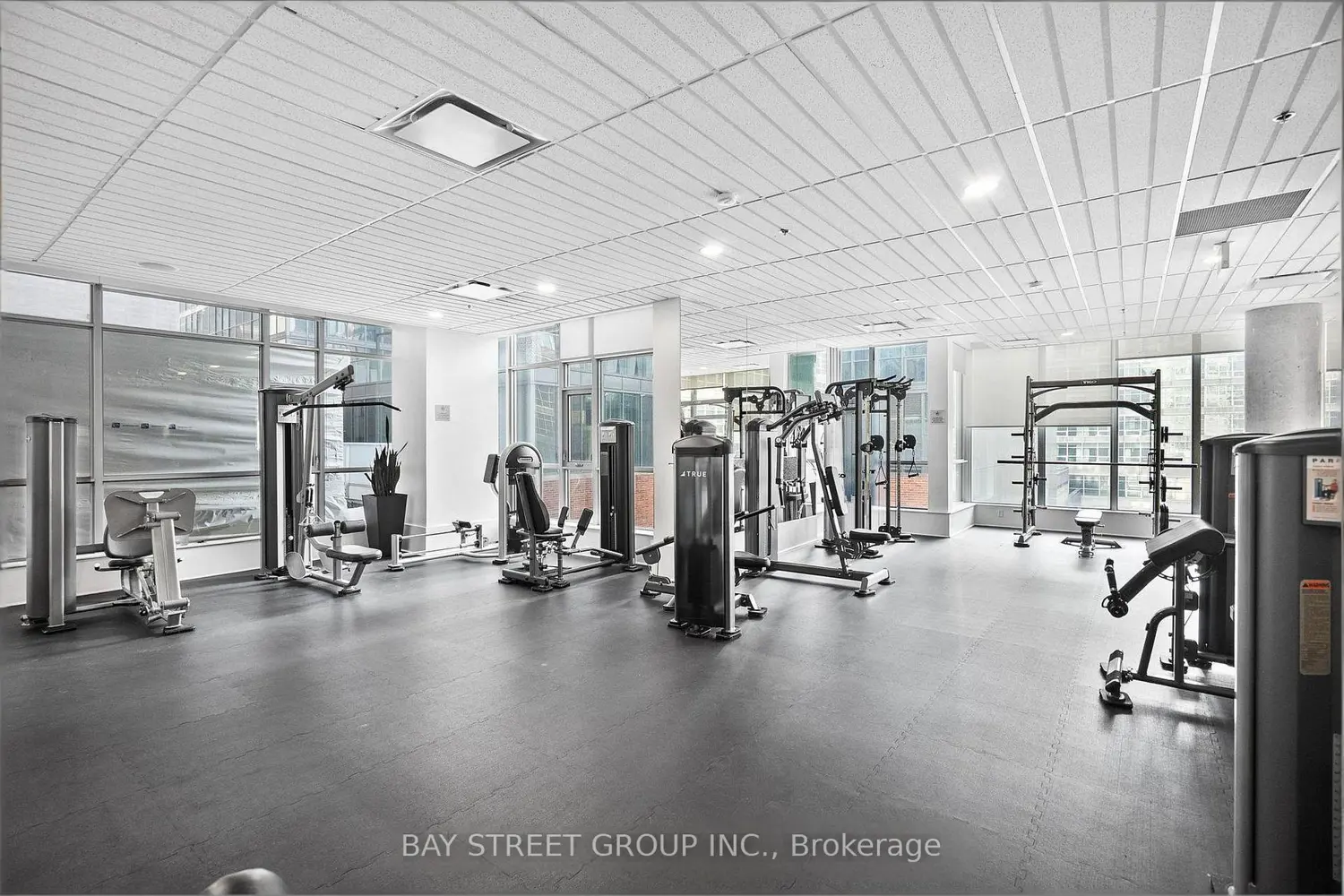 375 King Street 403 photo 4