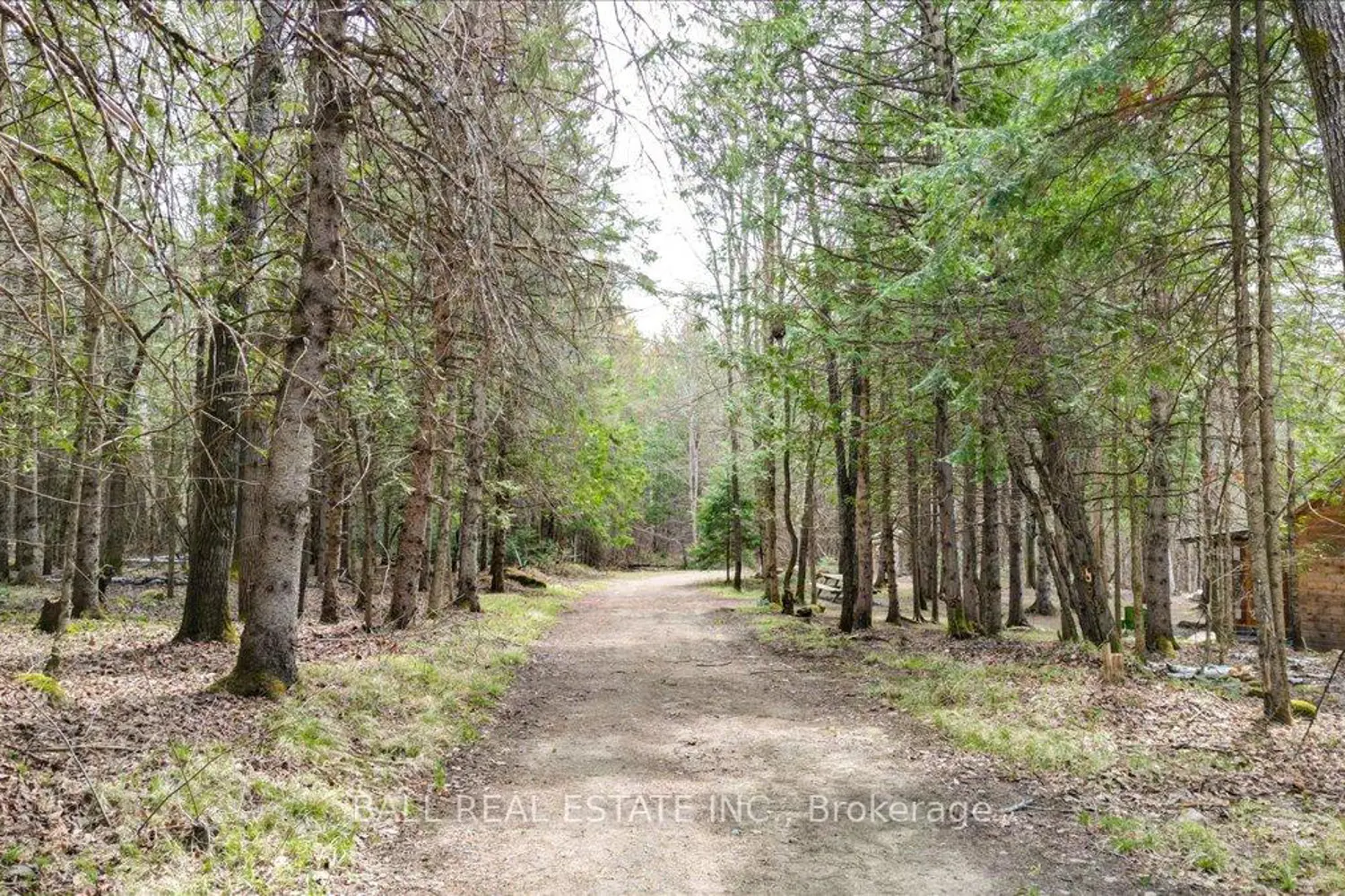 Additional image 14 of 1404 Hybla Road