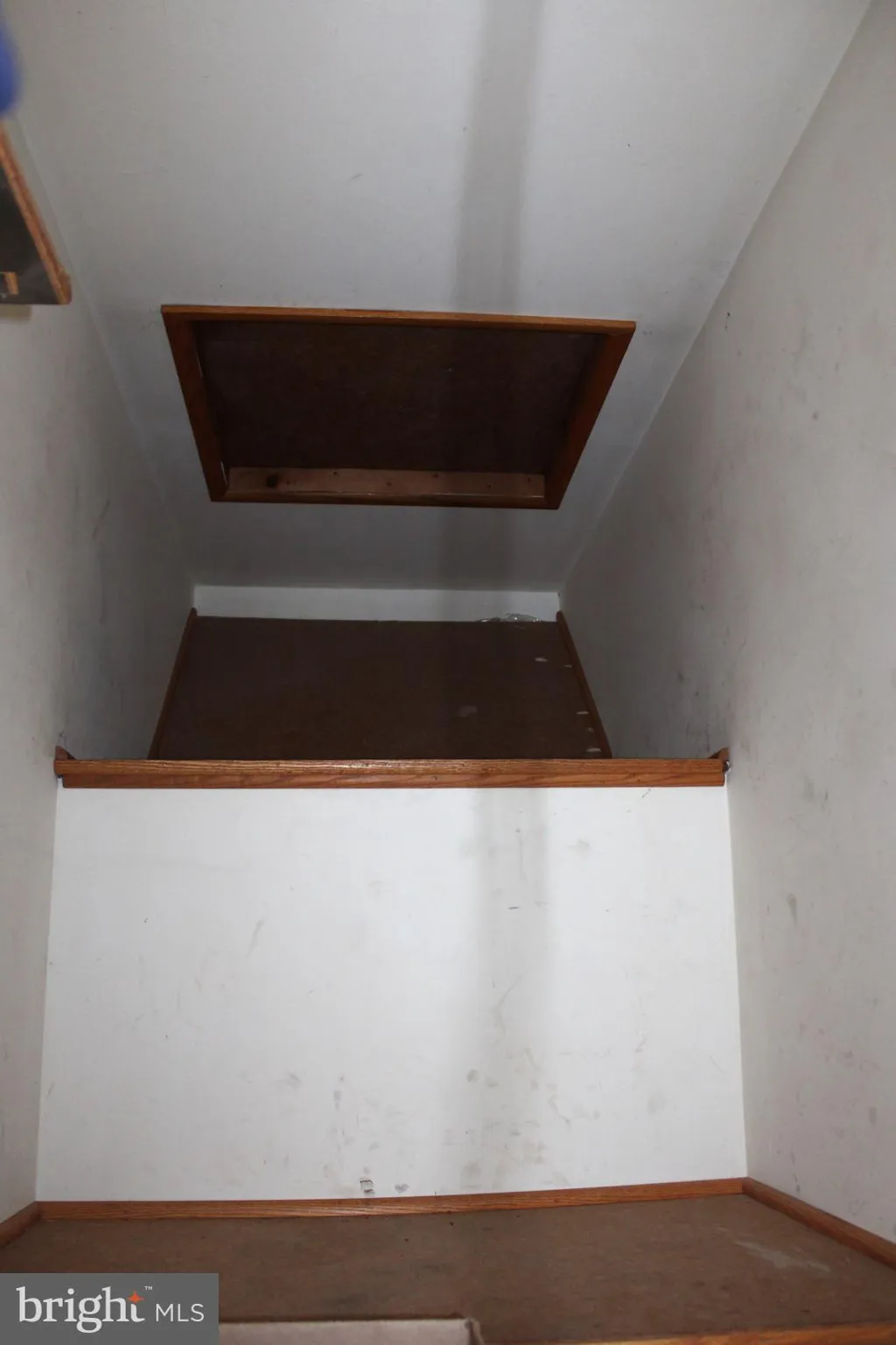 Additional image 48 of 14804 Bell Street, Cresaptown, MD 21502