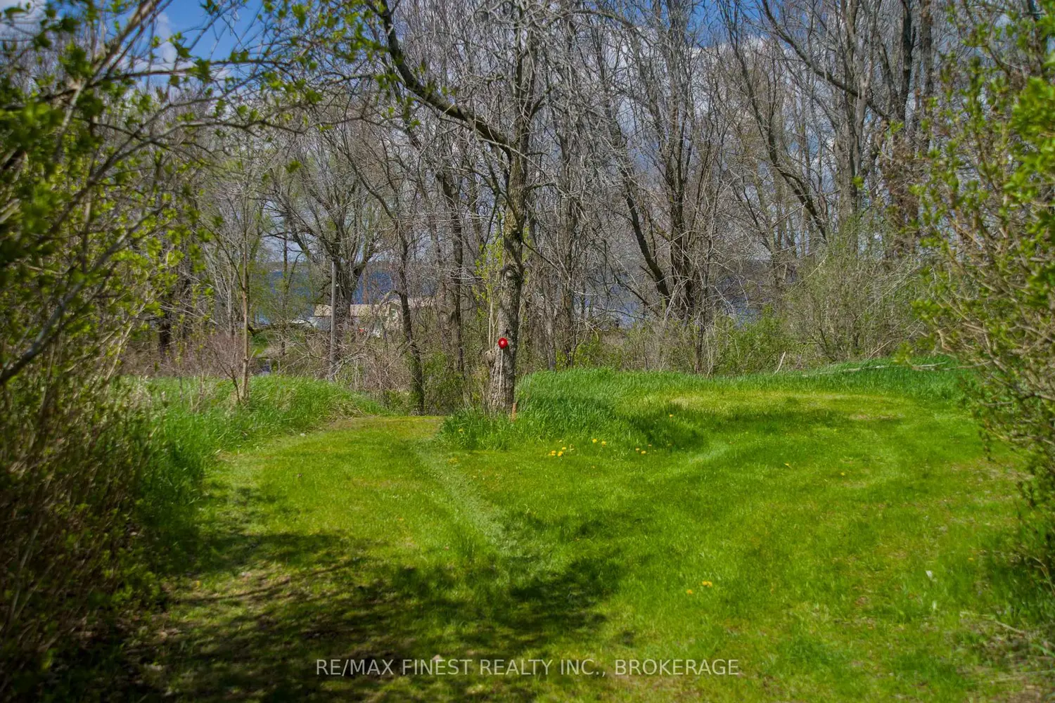 Additional image 15 of 9300 Front Road
