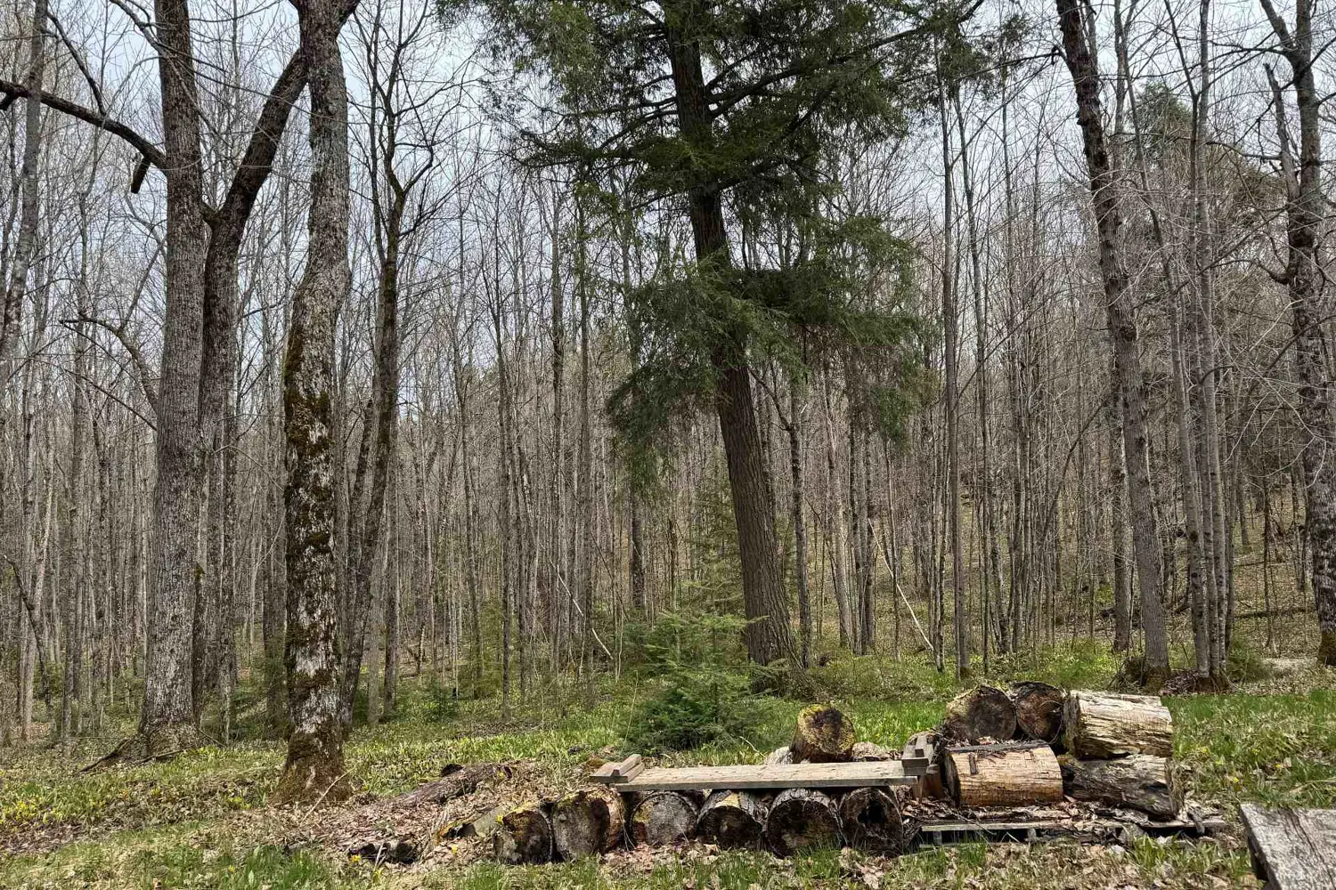 Additional image 2 of 34 Weber Road