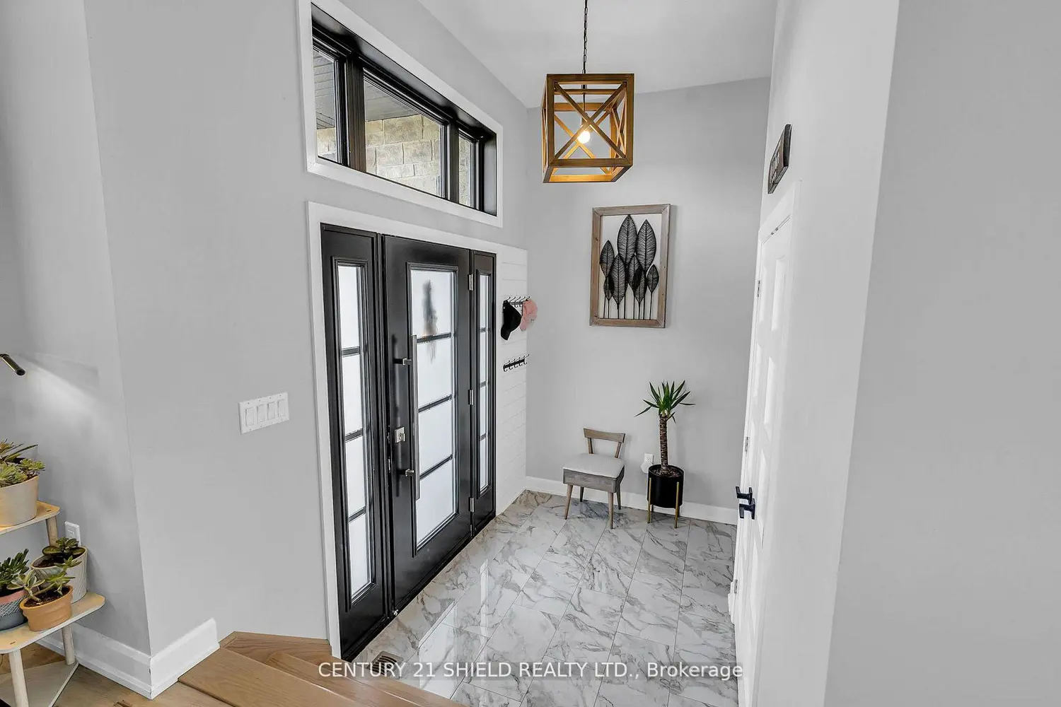 71 Dale Street photo 2