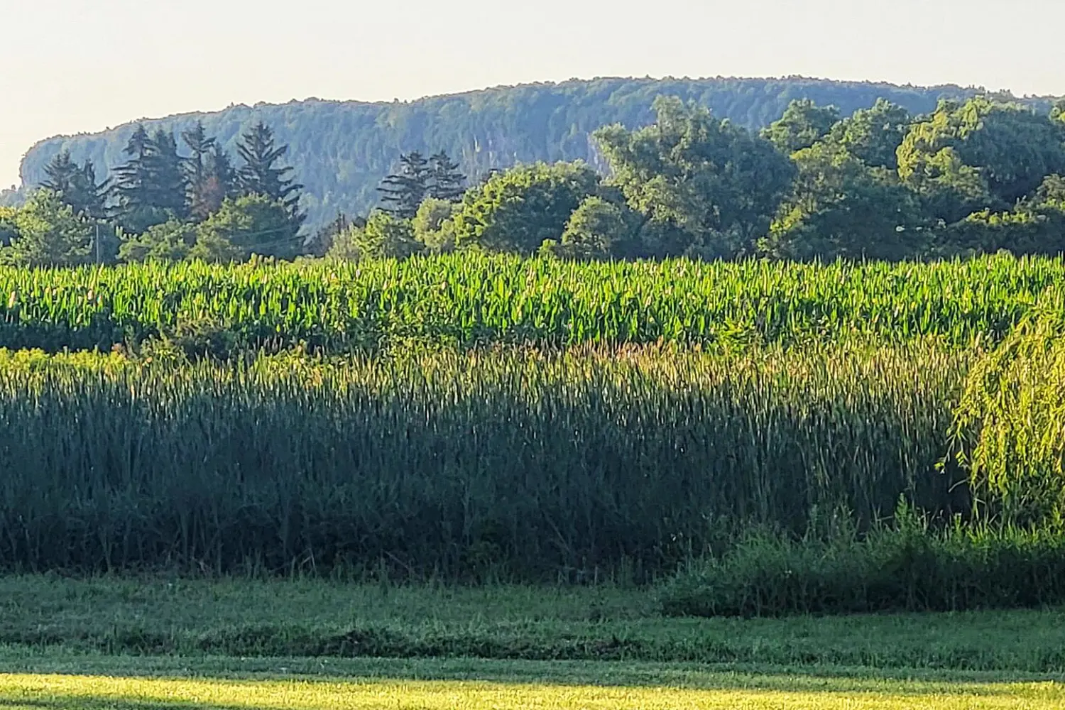 Additional image 19 of 2724 8 Side Road