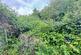 Additional image 5 of Ethel Road, Leicester LE5