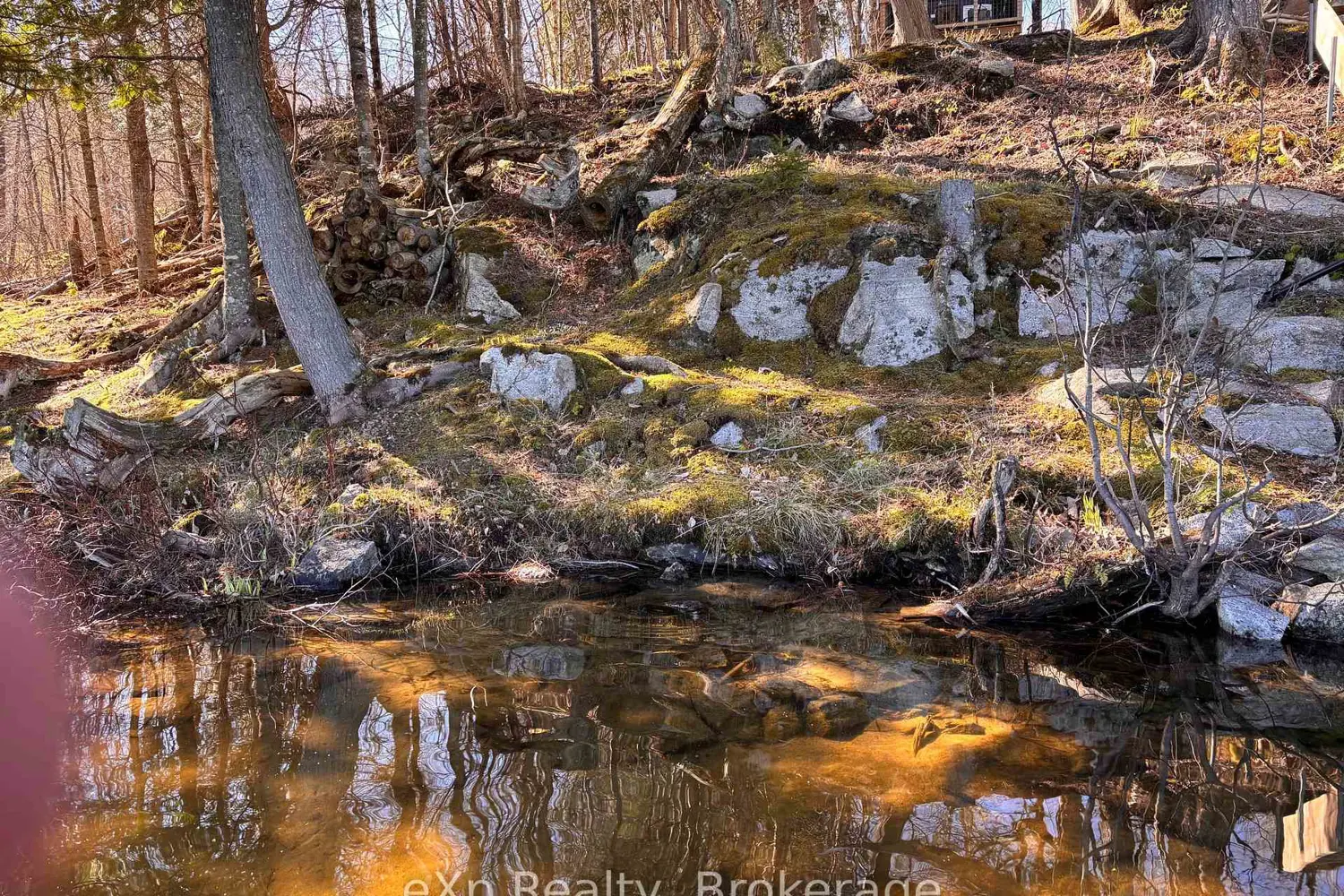 Additional image 12 of 265 Meadowland Road