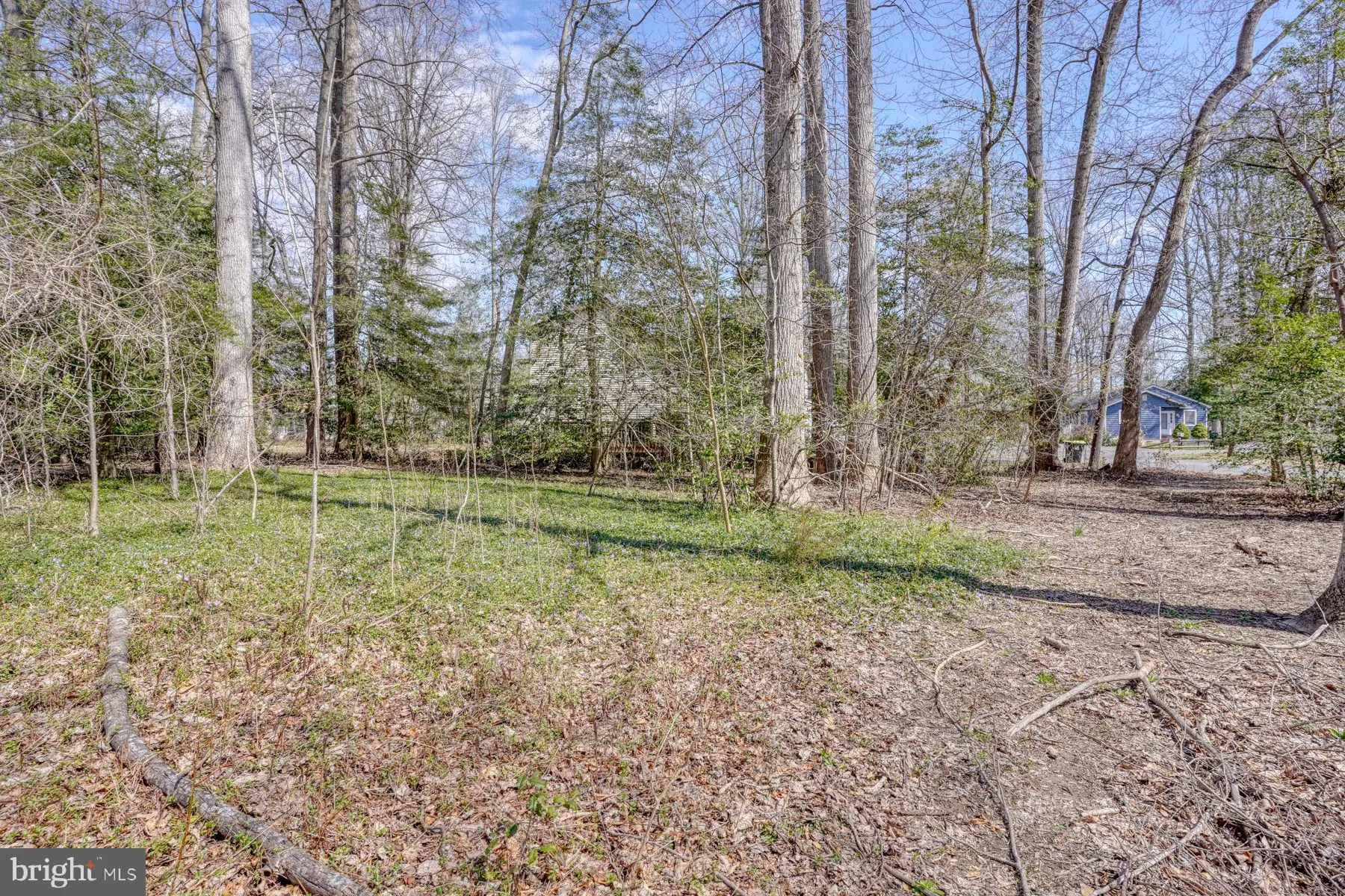 Additional image 19 of Woodland Way, Lewes, DE 19958