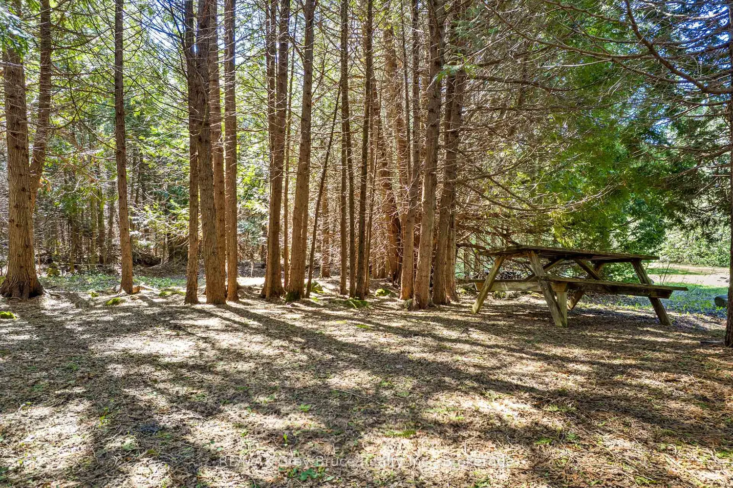 Additional image 13 of 678 West Road