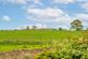 Additional image 20 of Aberford Road, Bramham, Wetherby