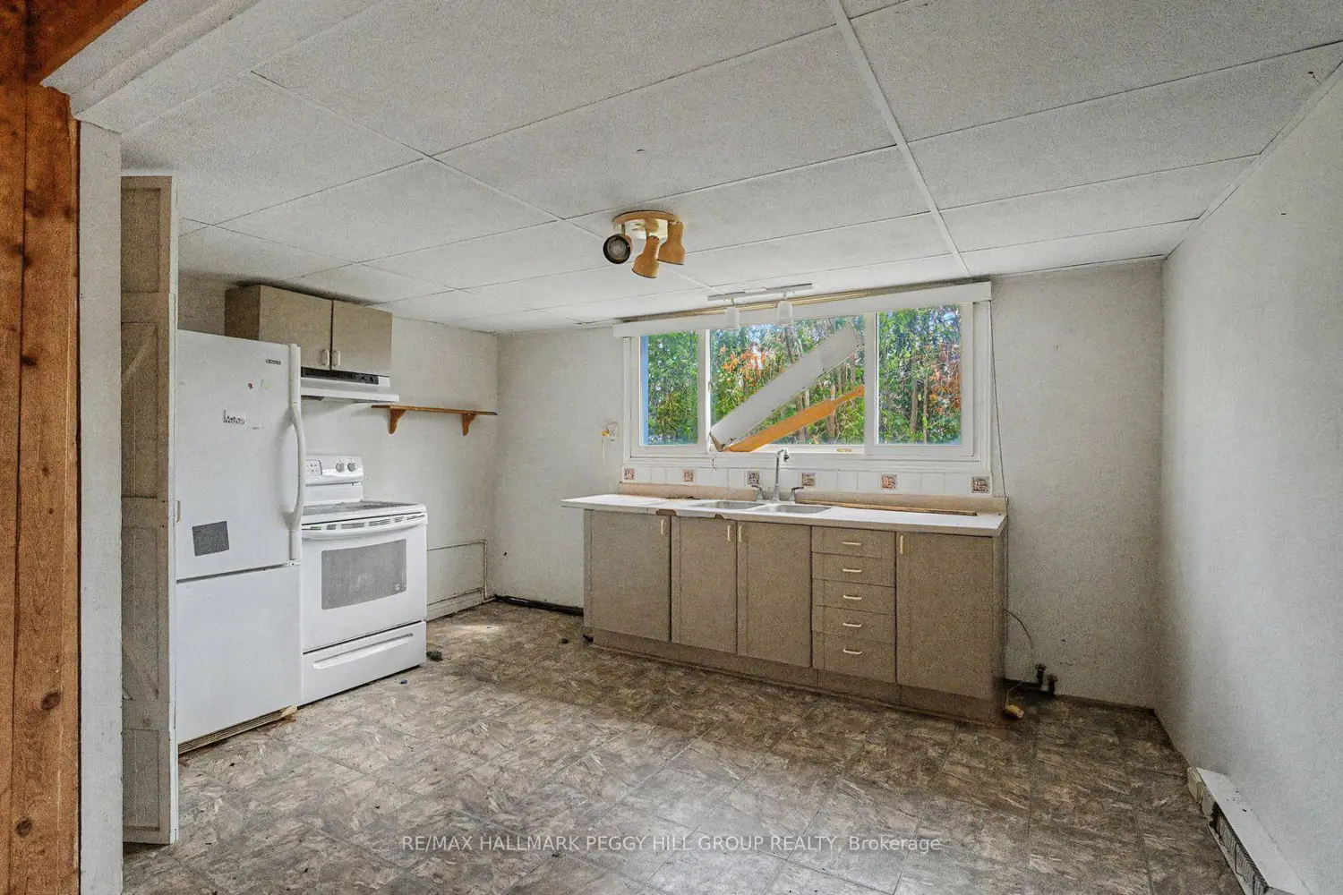 Additional image 6 of 3910 Alcina Avenue