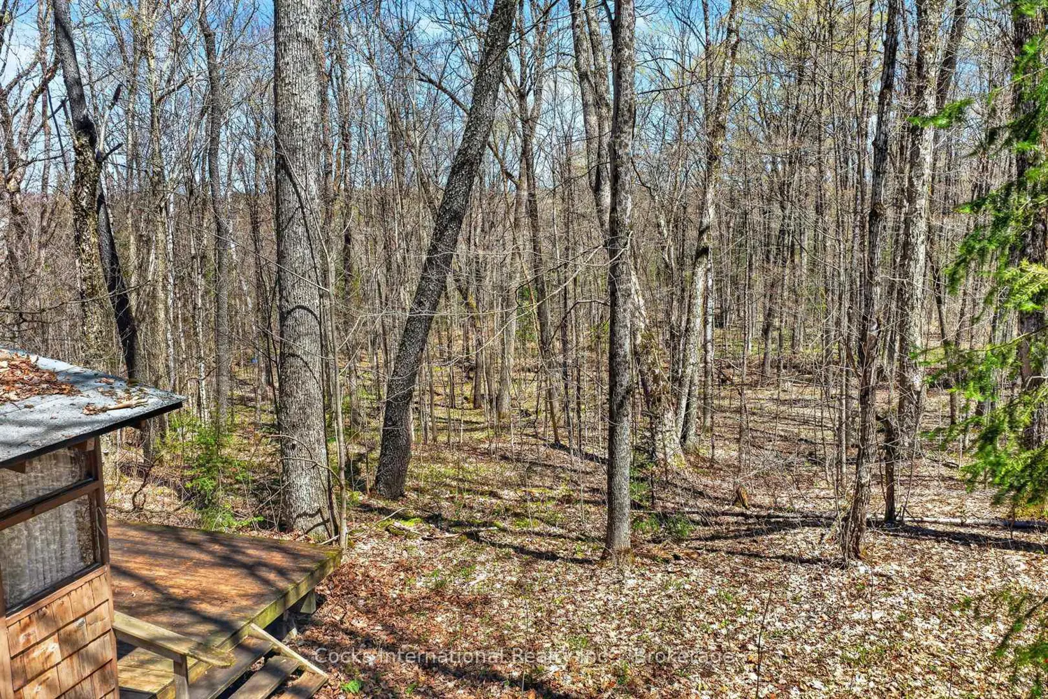 Additional image 7 of 1165 Spring Lake Road