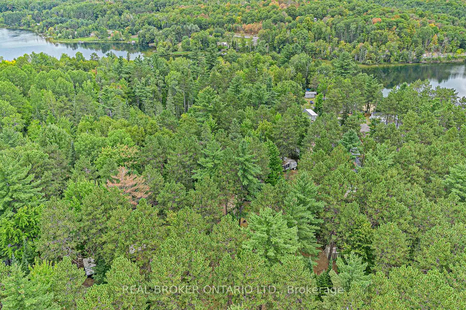 Additional image 20 of 240 Pinewood Park Road H10