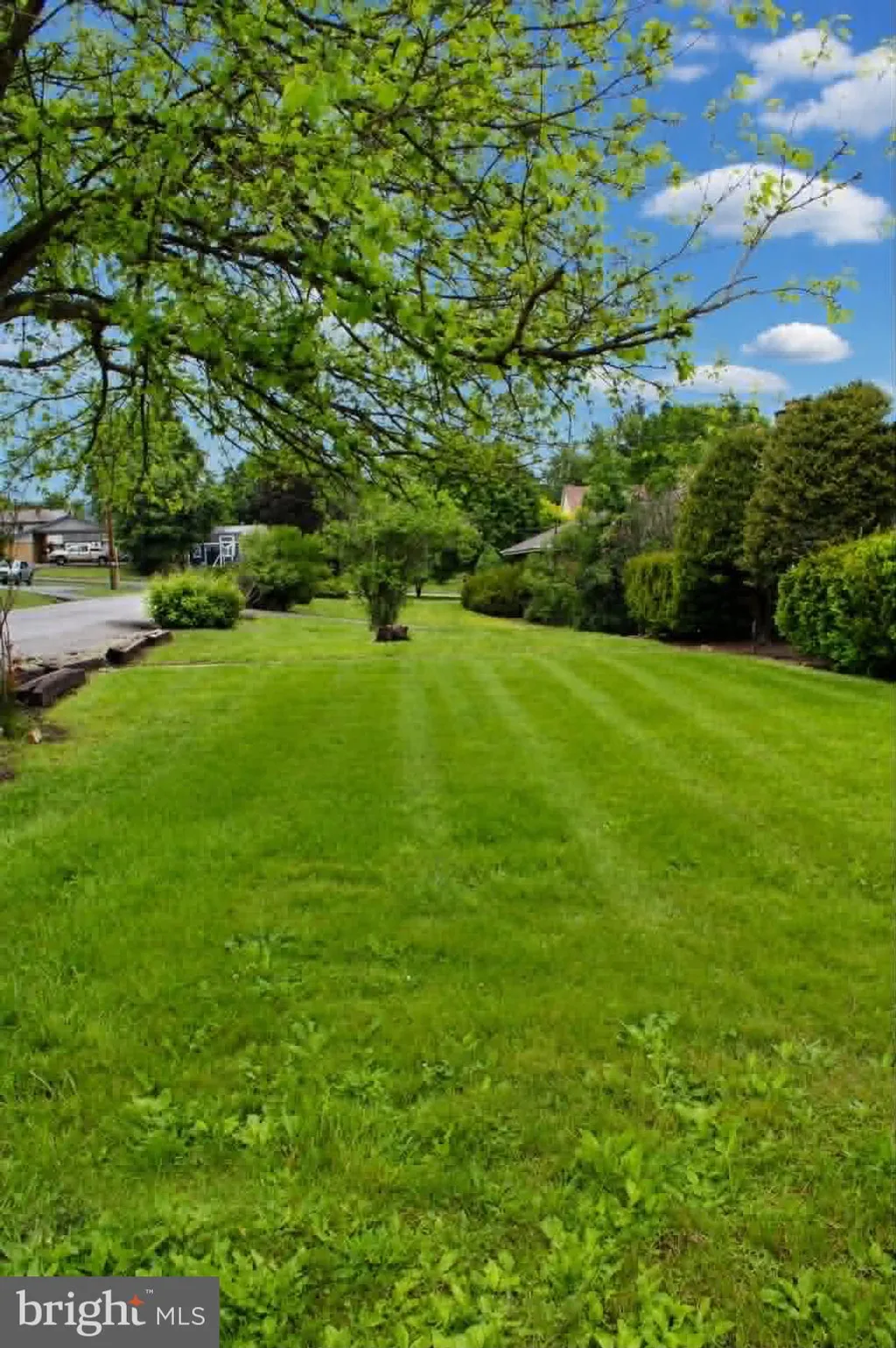 Additional image 8 of 14804 Bell Street, Cresaptown, MD 21502