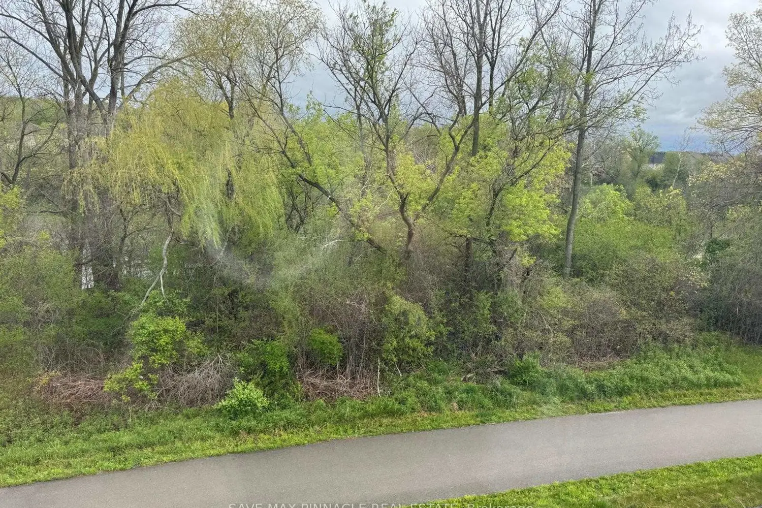 Additional image 19 of 177 Edgevalley Road 140