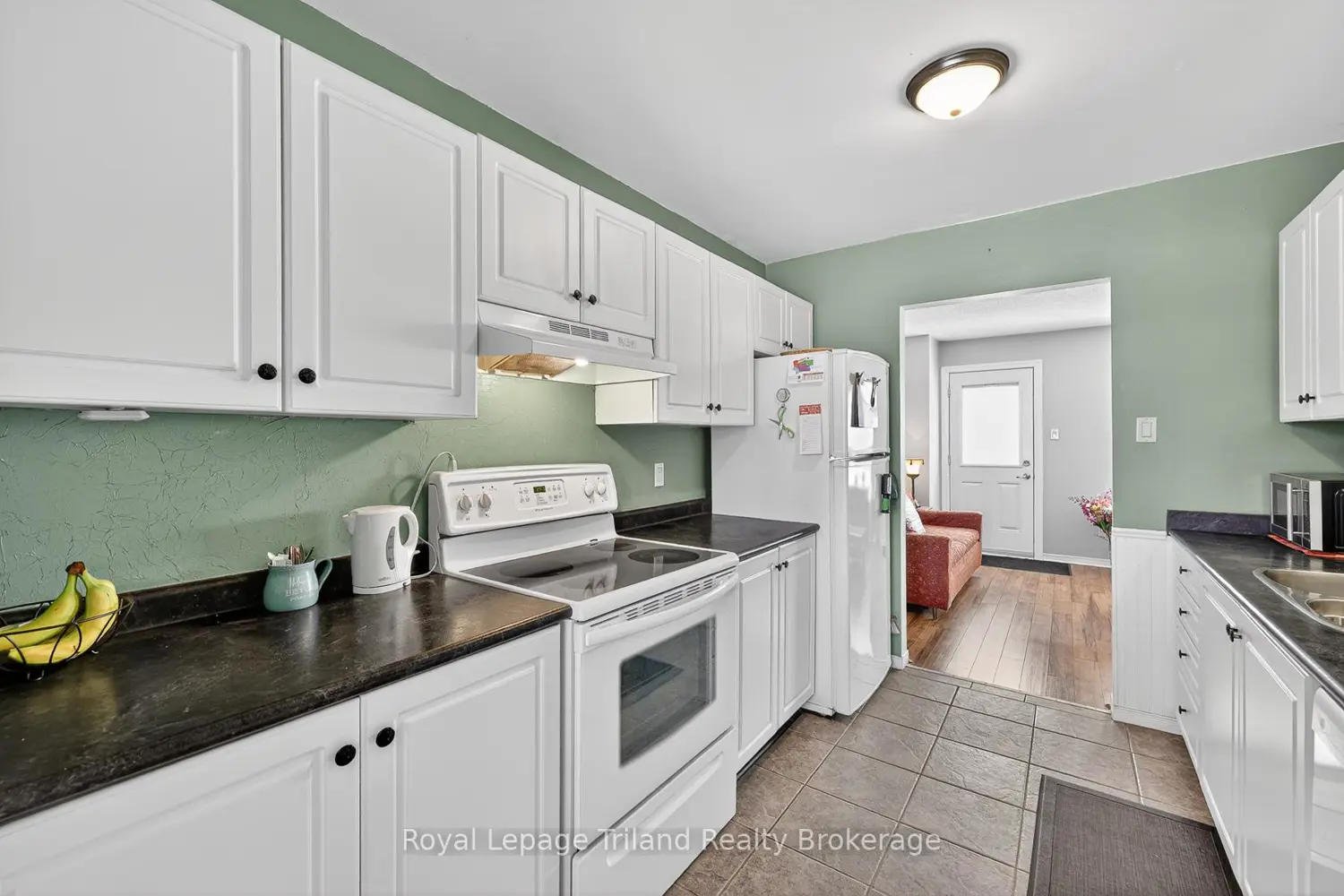 Additional image 3 of 1135 Nellis Street 11