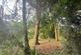 Additional image 67 of Oakham Lane, Daventry NN11