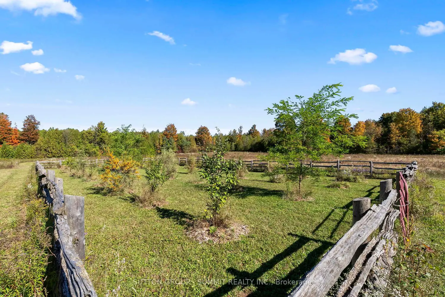 Additional image 7 of 502349 10 Concession