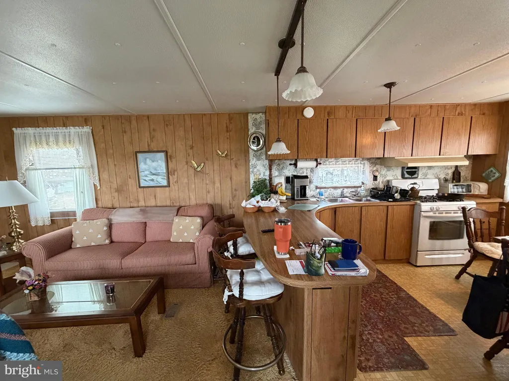 Additional image 17 of 26025 S Cherry Street, Millsboro, DE 19966